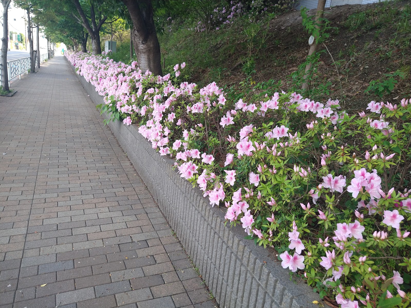 かえつ有明中学校の校内・教育環境