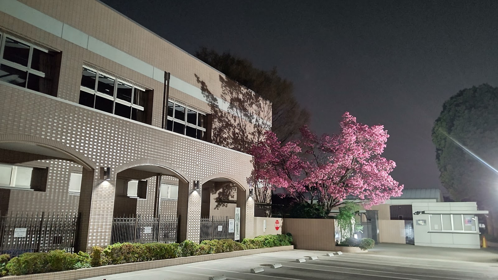 晃華学園中学校の施設・校内風景