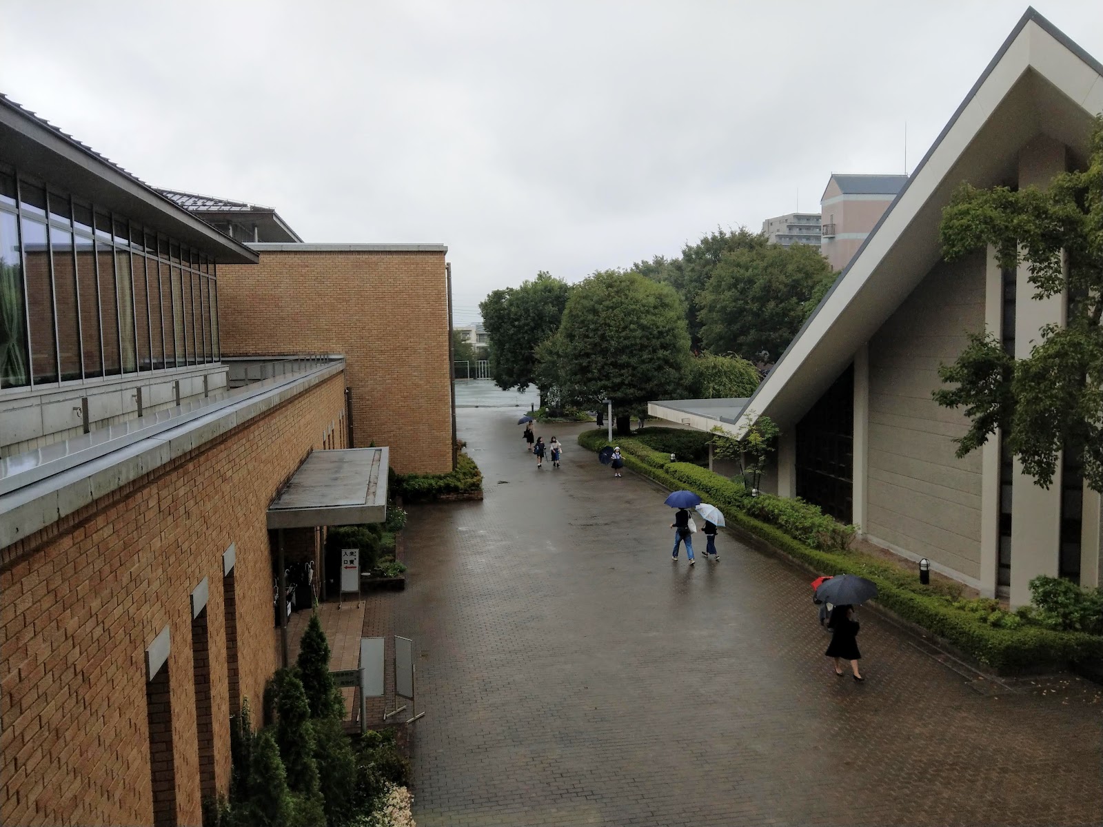 晃華学園中学校の校内・教育環境