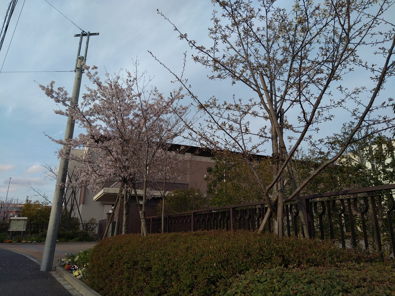 国府台女子学院中学部の学校生活・施設