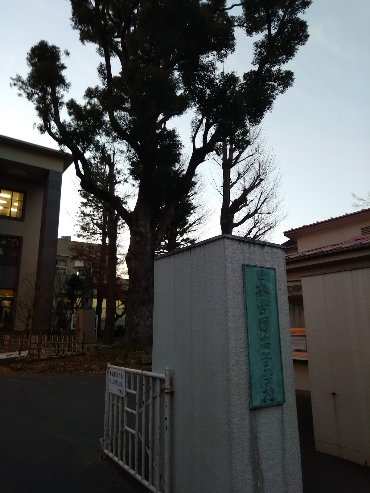 明治大学付属世田谷中学校の校内・教育環境
