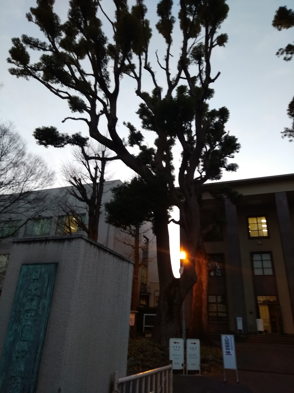 明治大学付属世田谷中学校の周辺・アクセス