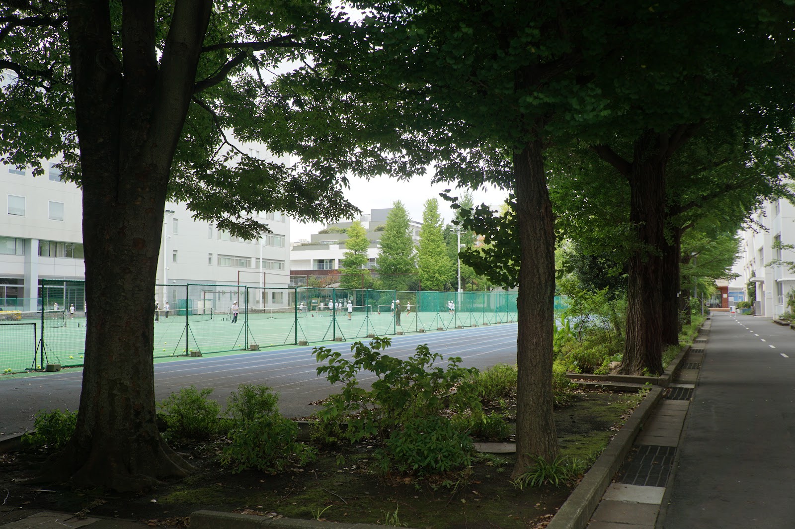 昭和女子大学附属昭和中学校の校舎・キャンパス写真