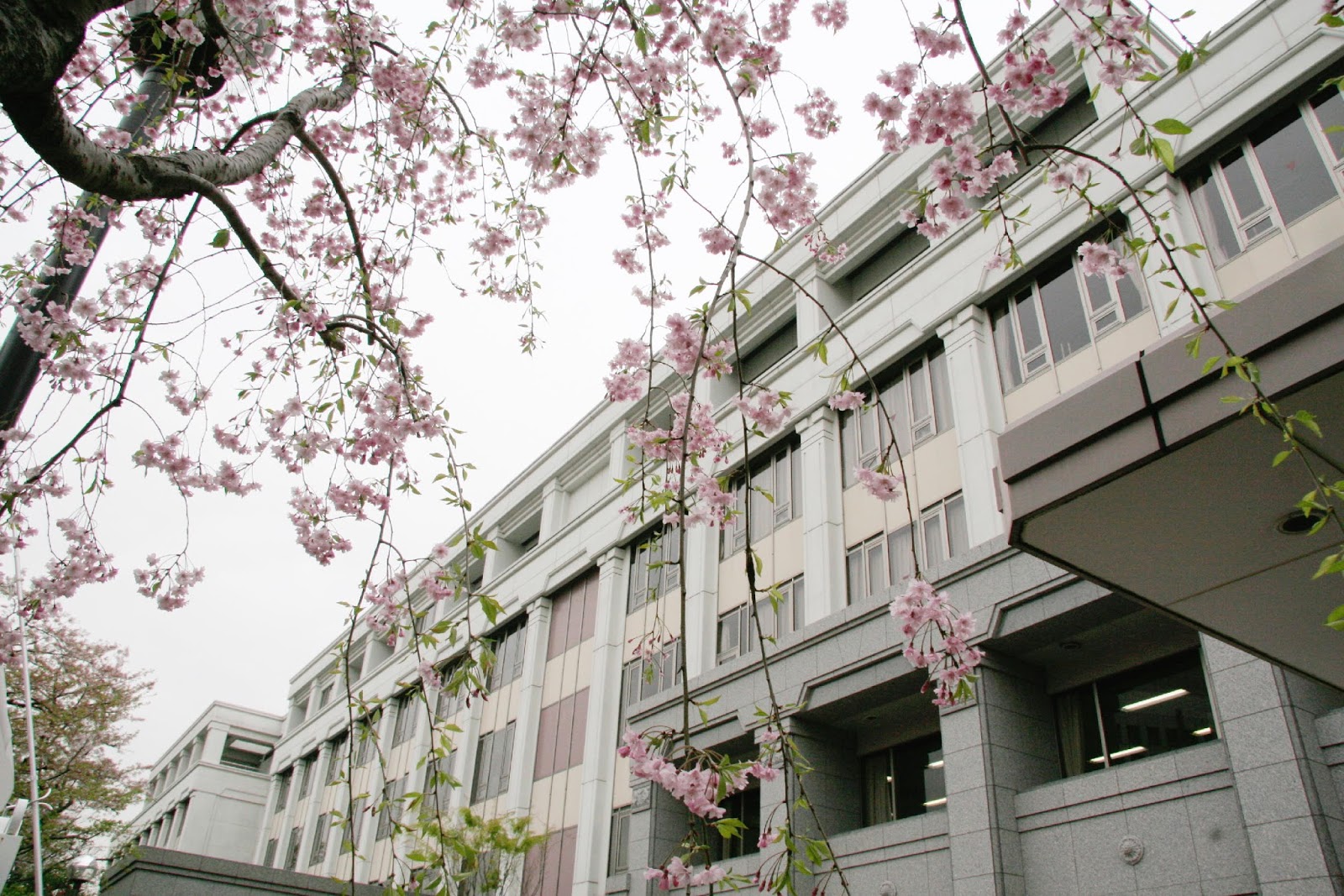 東京女学館中学校の校舎・キャンパス写真