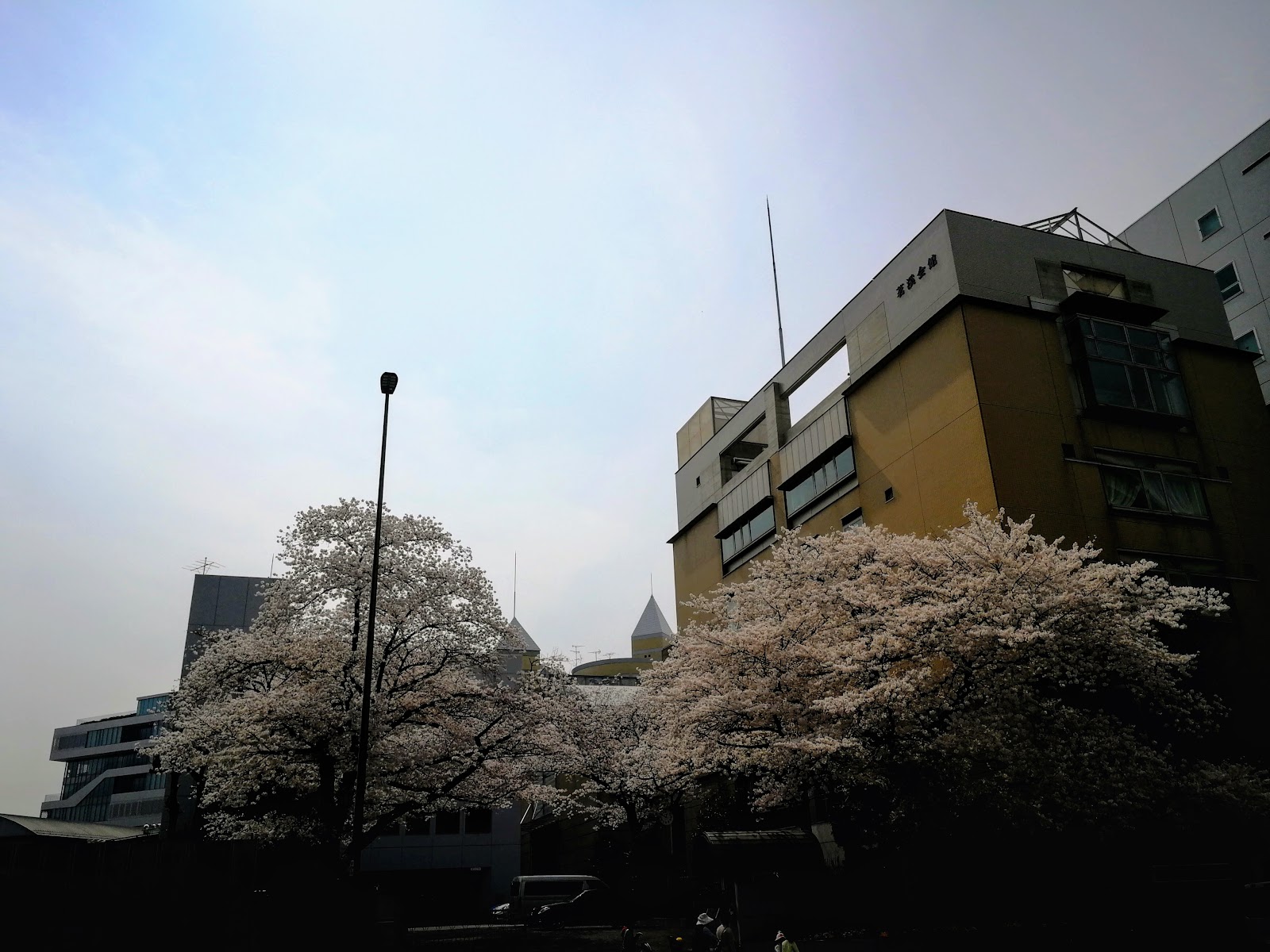 跡見学園中学校の校内・教育環境