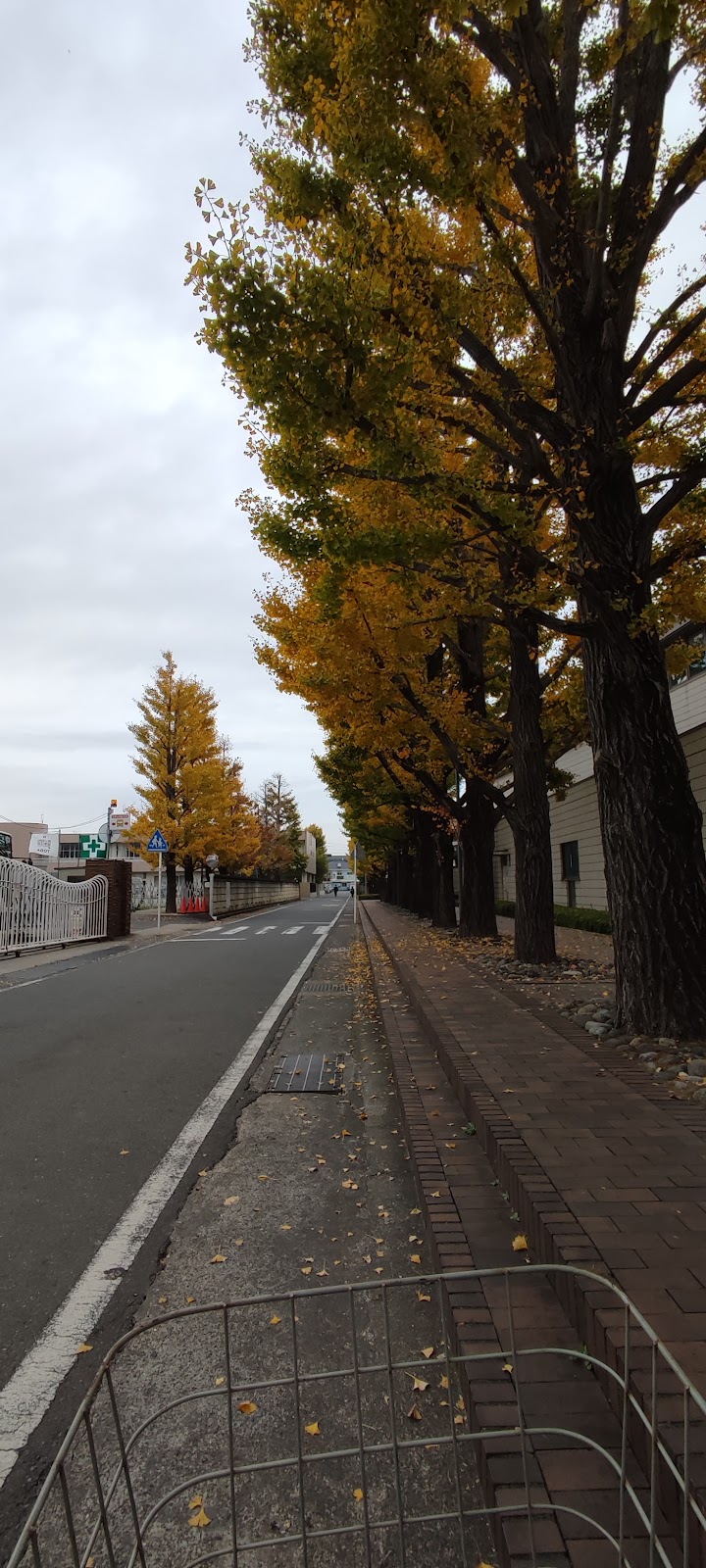 カリタス女子中学校の学校生活・施設