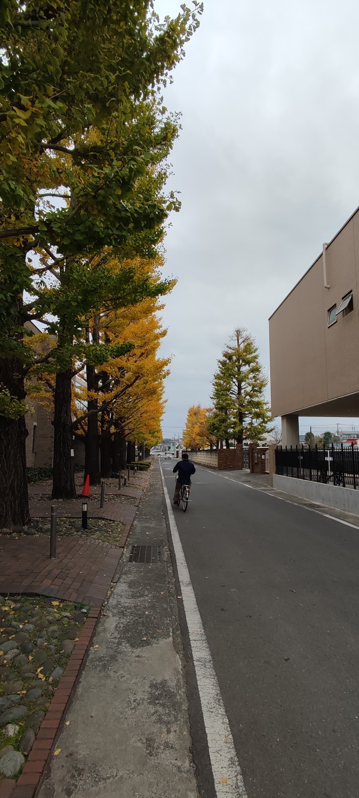 カリタス女子中学校の周辺・アクセス
