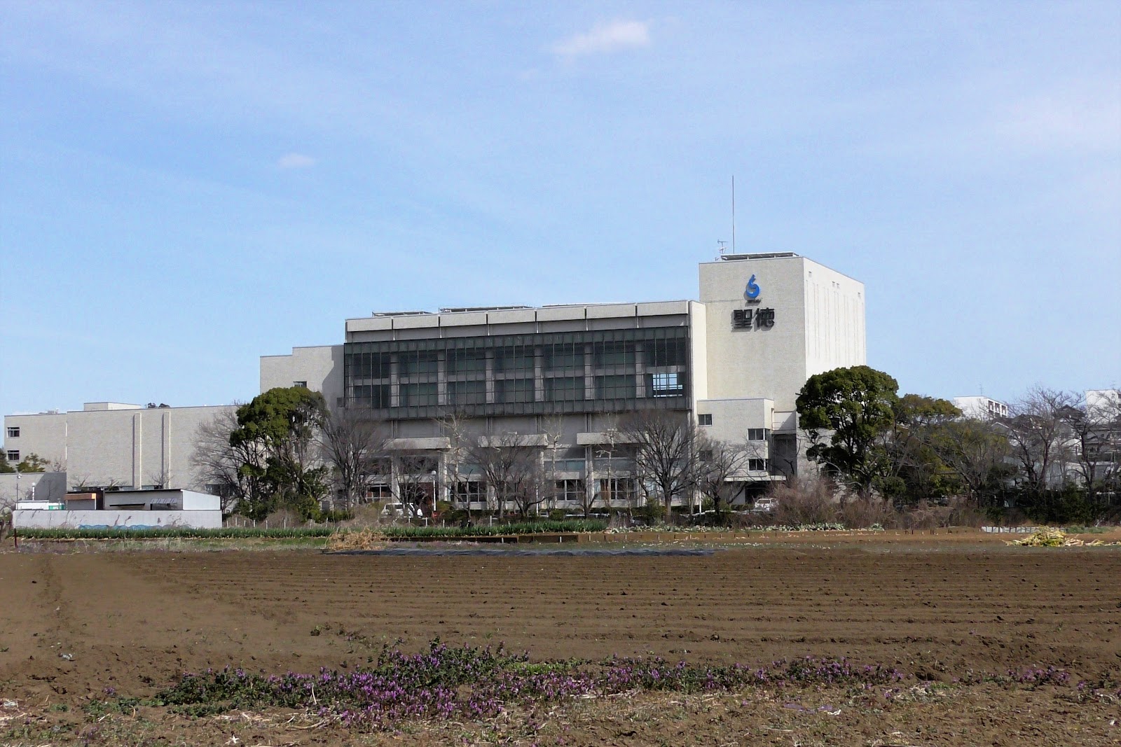光英VERITAS中学校の施設・校内風景