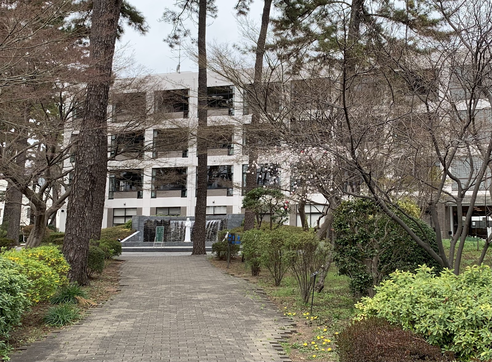 聖セシリア女子中学校の校内・教育環境