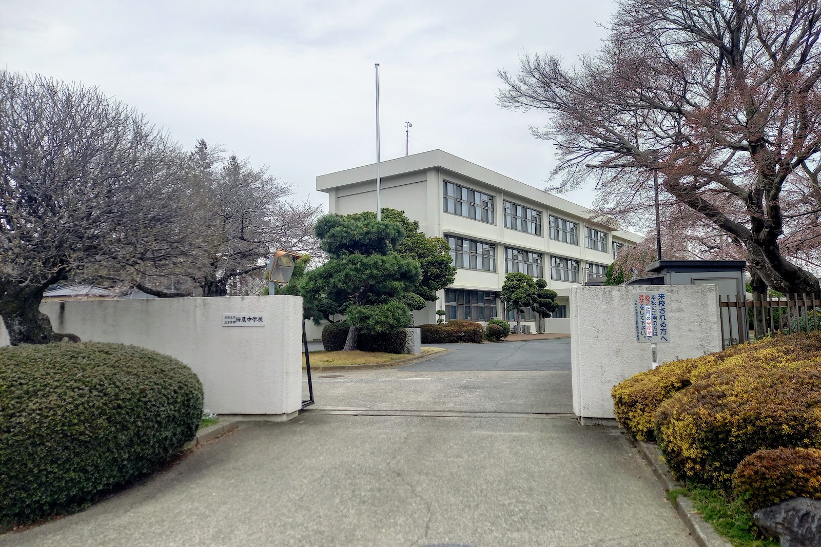 茨城大学教育学部附属中学校の施設・校内風景