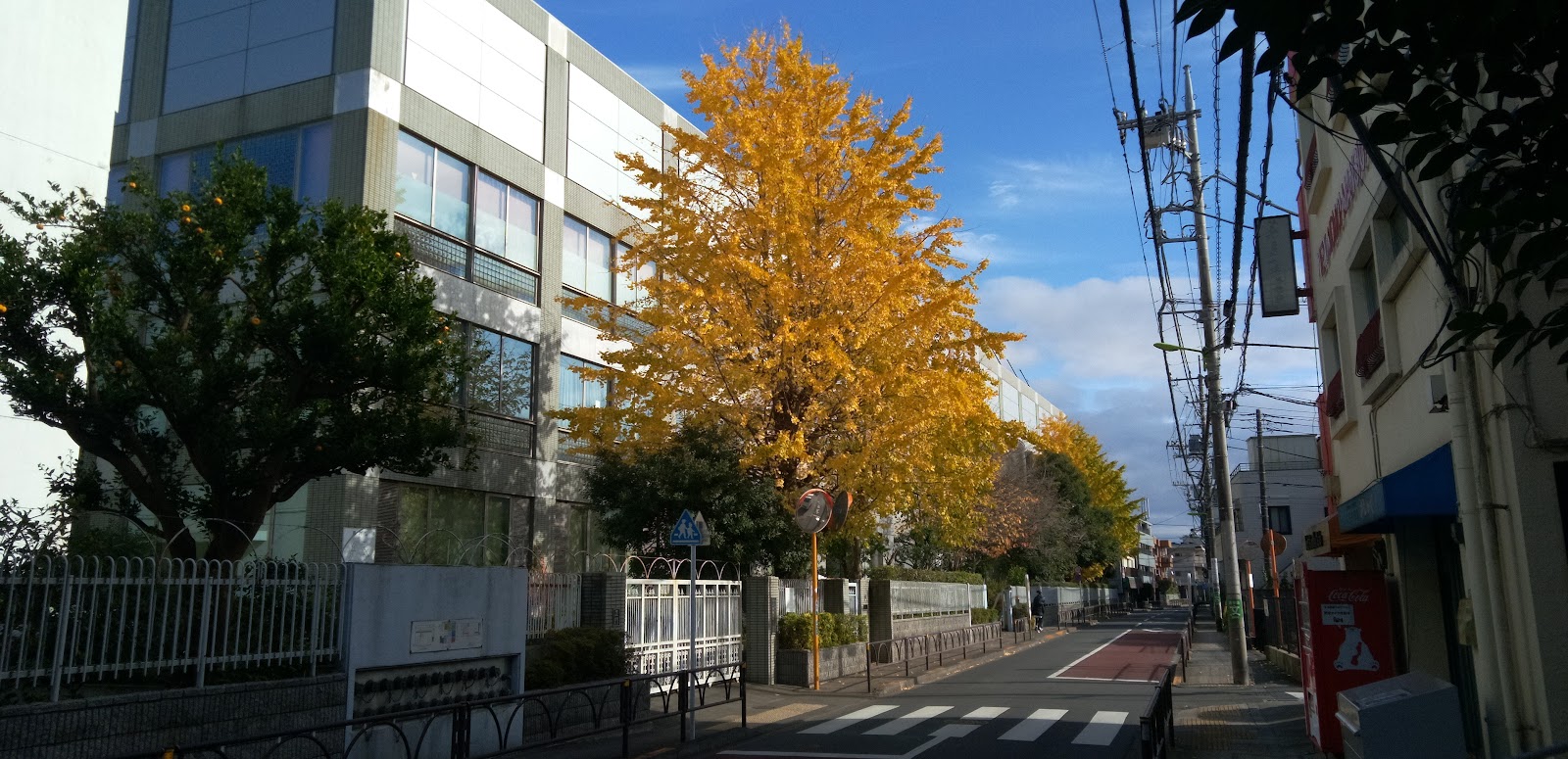 佼成学園女子中学校の校内・教育環境