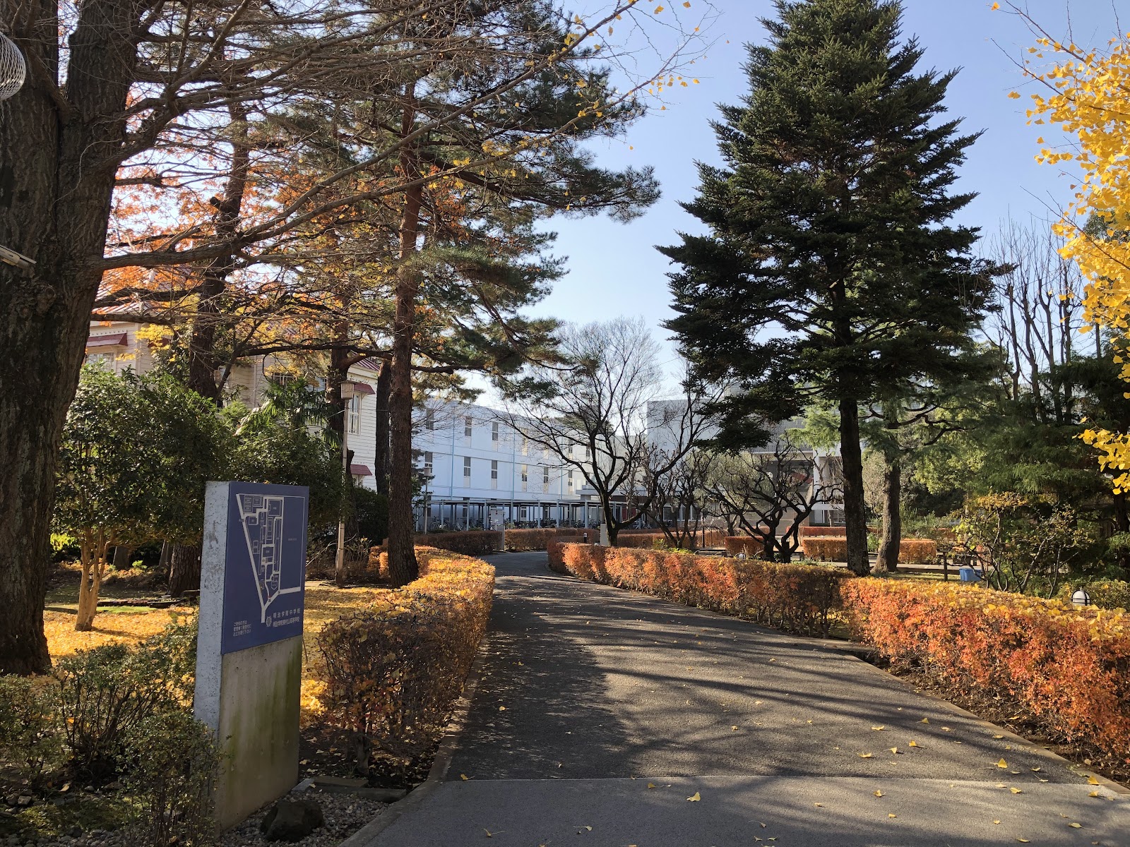 明治学院中学校の周辺・アクセス
