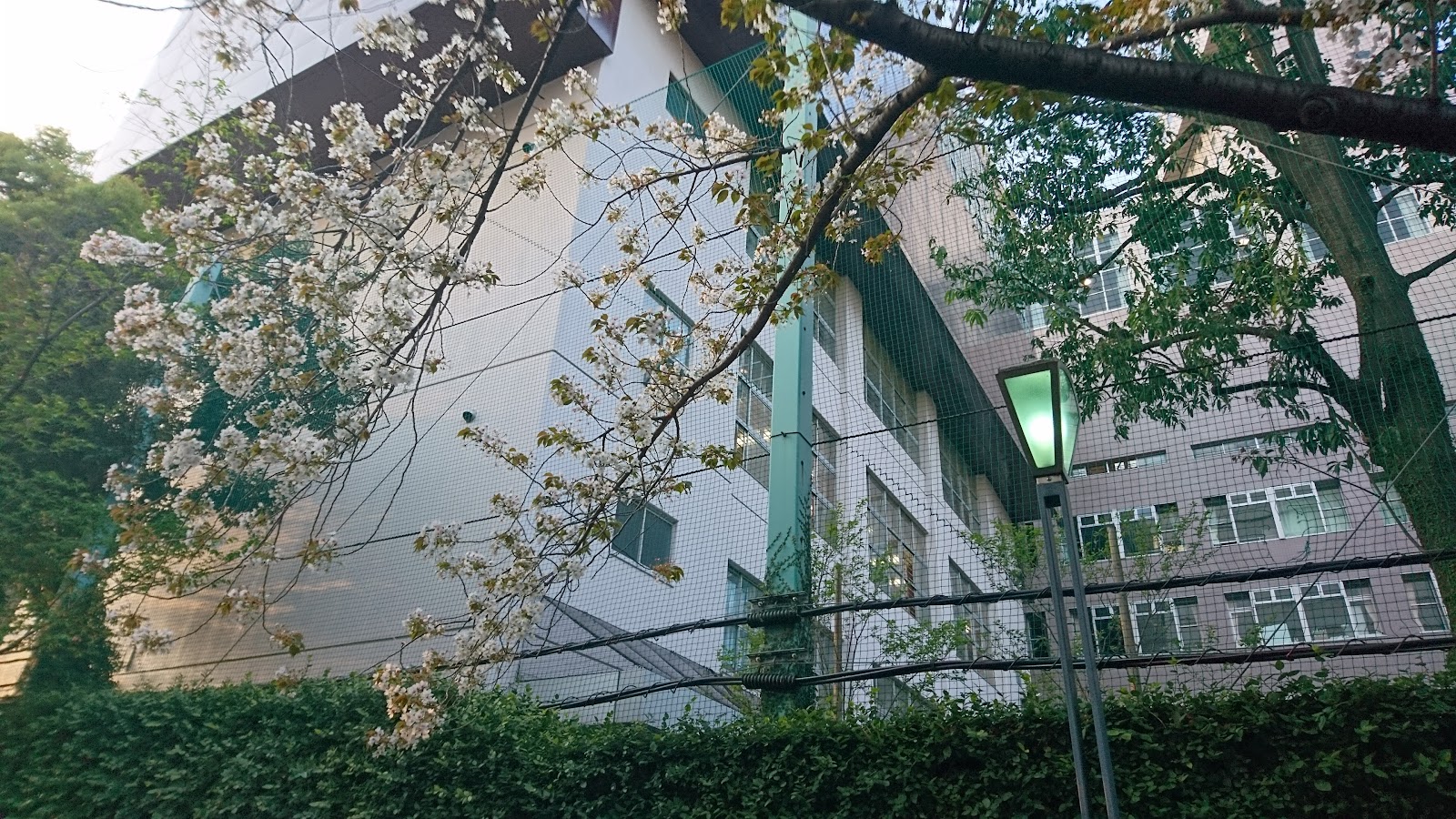 日本大学第一中学校の周辺・アクセス