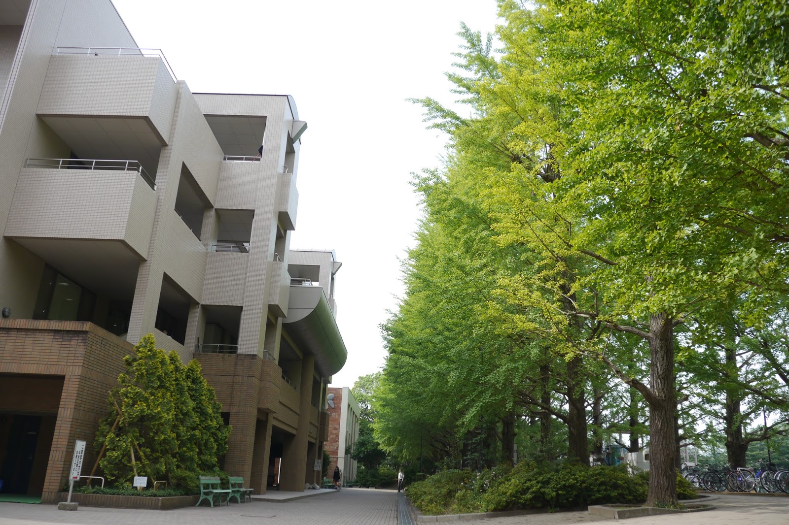 日本大学第二中学校の校舎・キャンパス写真