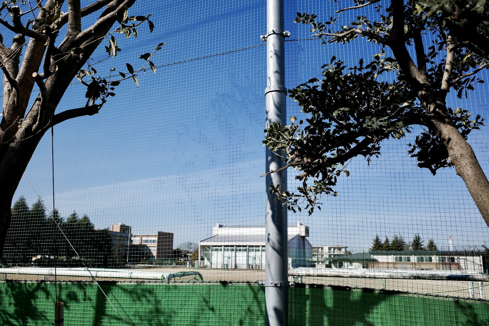 埼玉大学教育学部附属中学校の学校生活・施設
