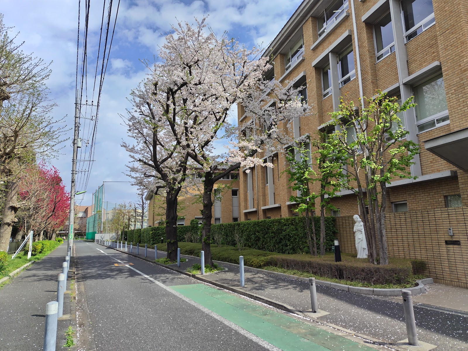 サレジアン国際学園世田谷中学校の校内・教育環境