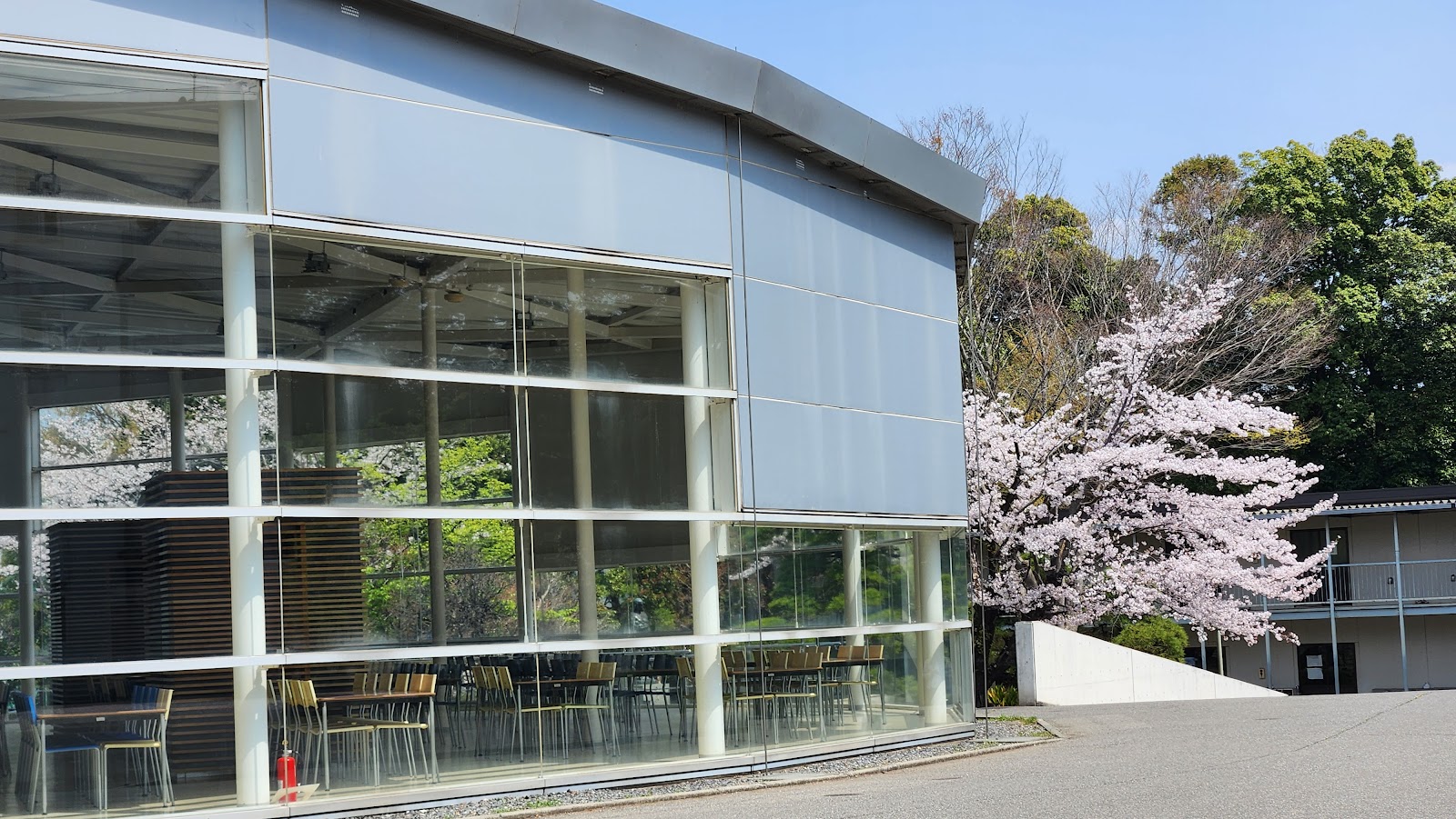 八千代松陰中学校の周辺・アクセス