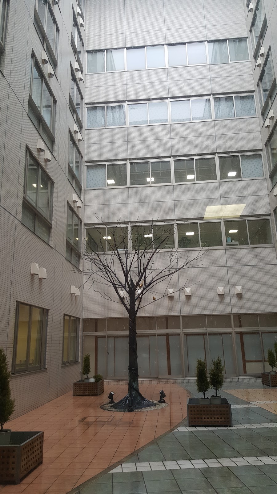 文化学園大学杉並中学校の学校生活・施設