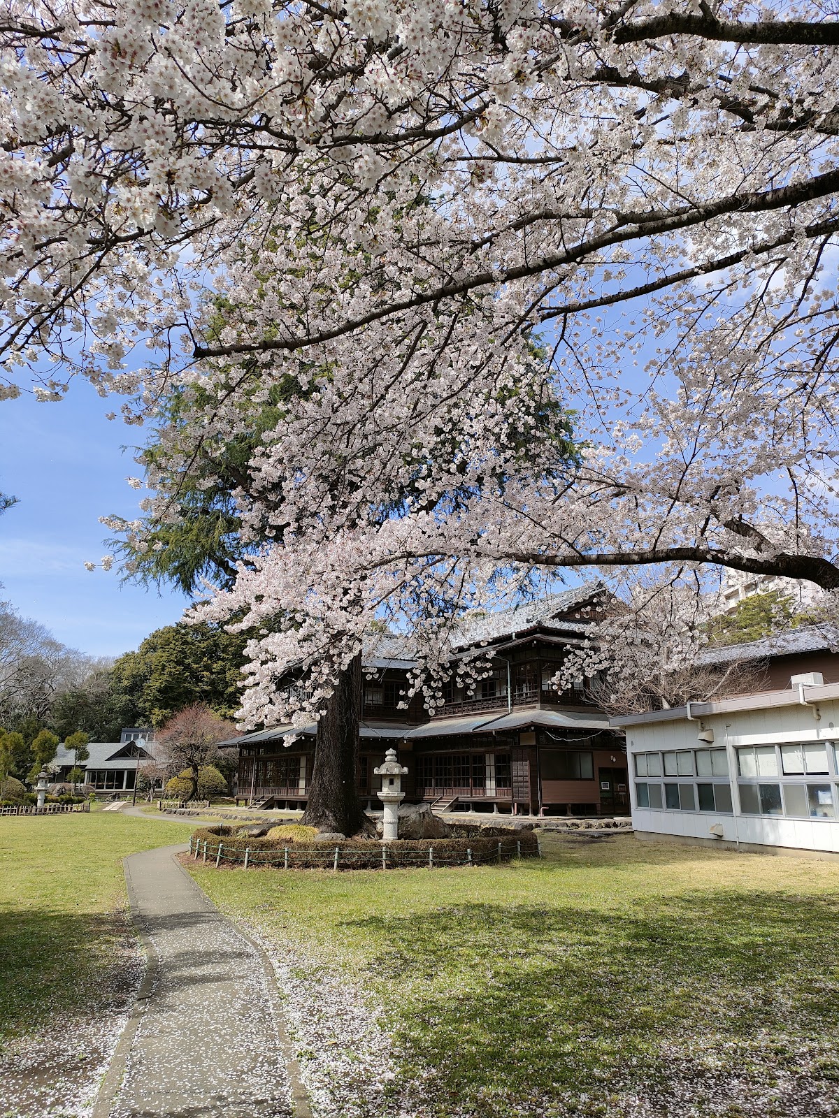 啓明学園中学校の校内・教育環境