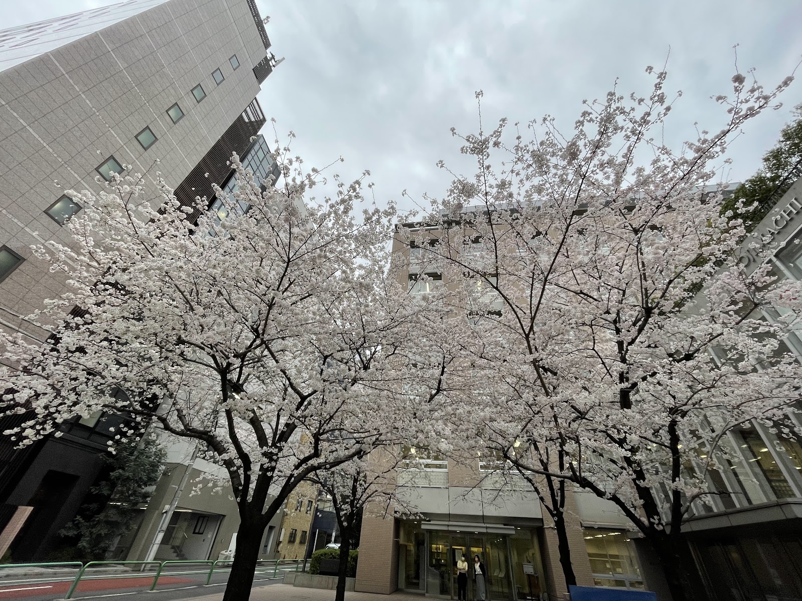 麹町学園女子中学校の校内・教育環境