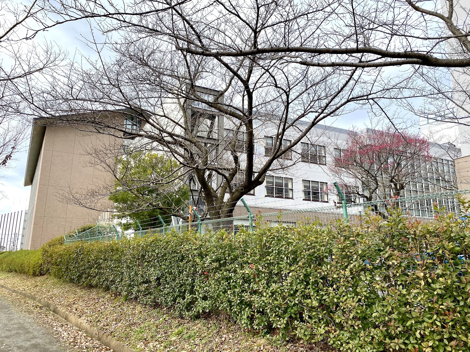 大妻多摩中学校の校内・教育環境