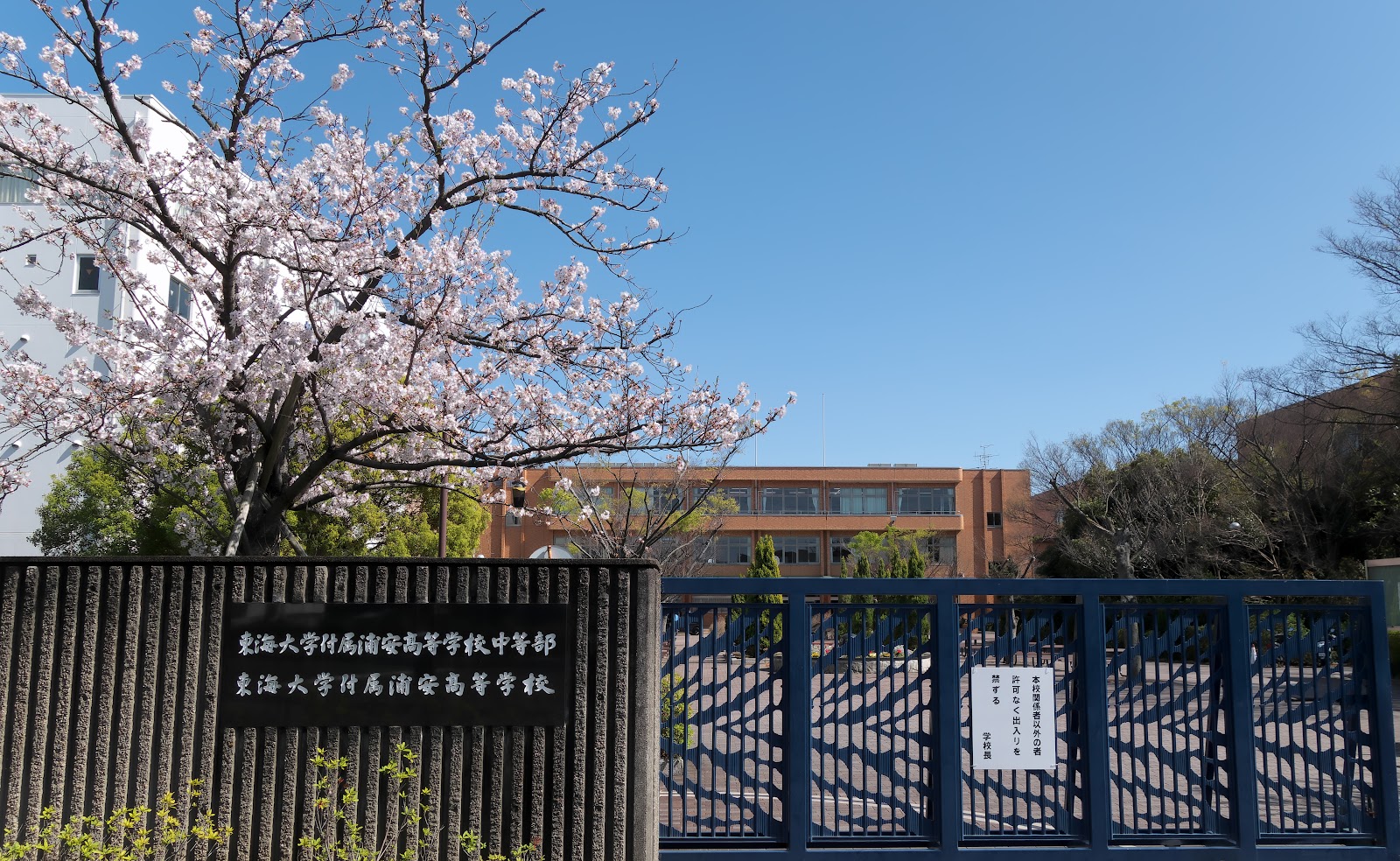 東海大学付属浦安高等学校中等部の学校生活・施設