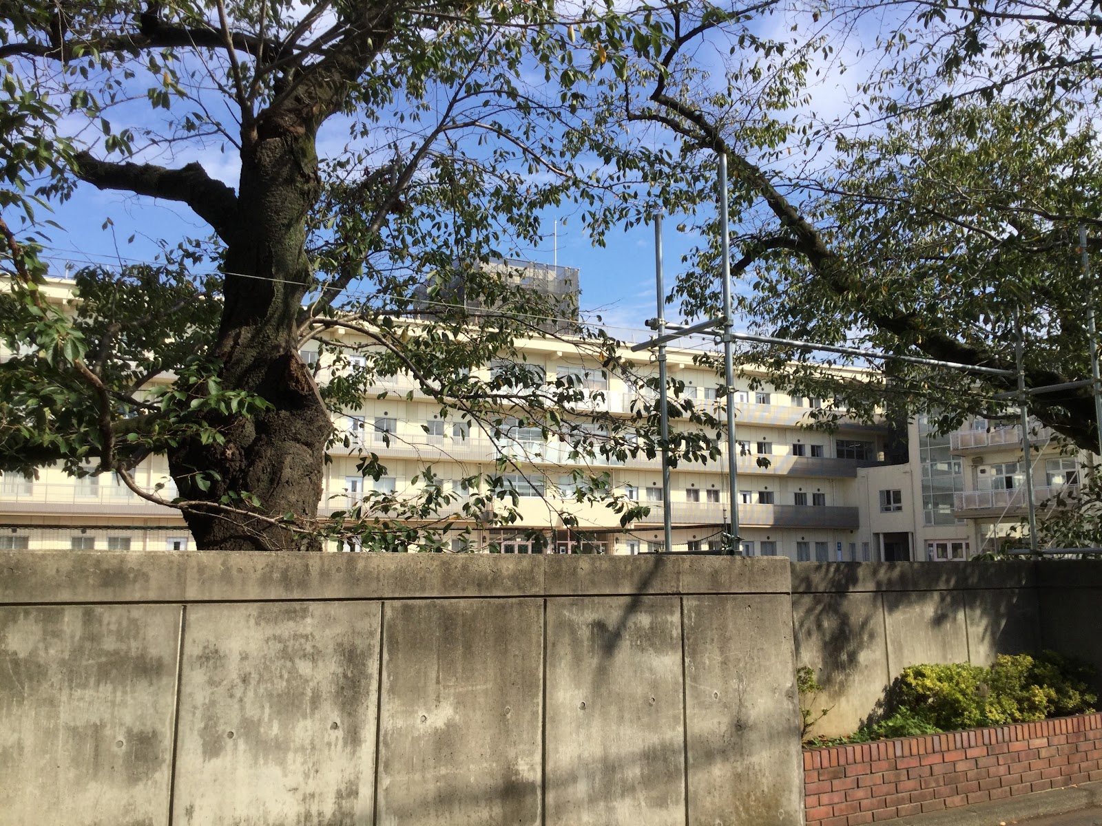 八雲学園中学校の校内・教育環境