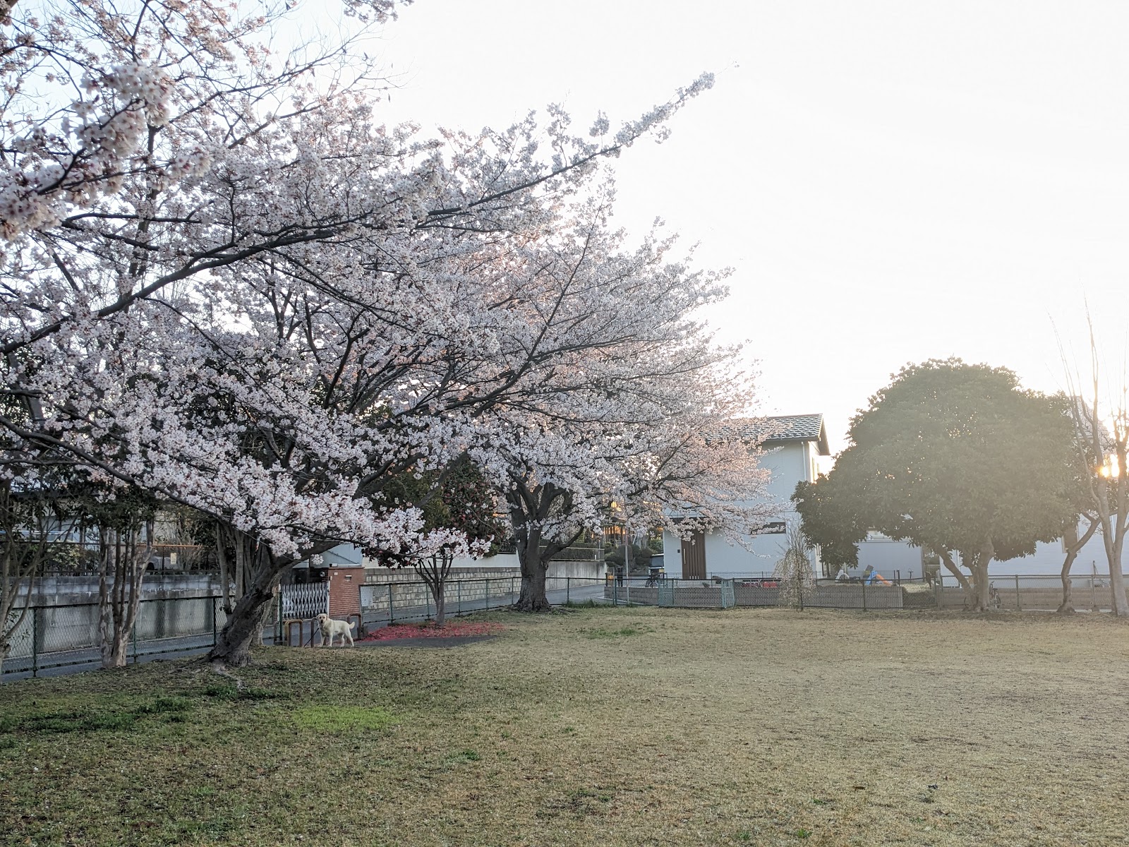 茨城県立勝田中等教育学校の施設・校内風景