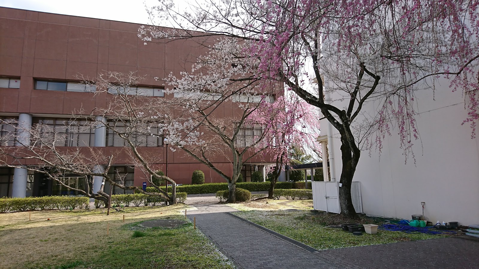 共立女子第二中学校の校舎・キャンパス写真
