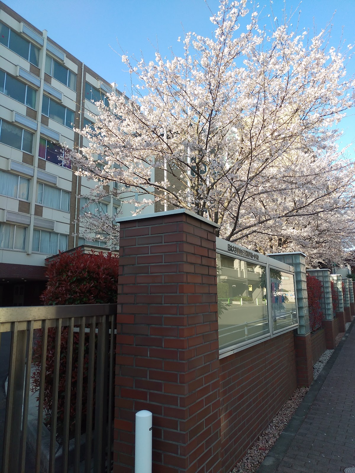 日本大学豊山女子中学校の施設・校内風景