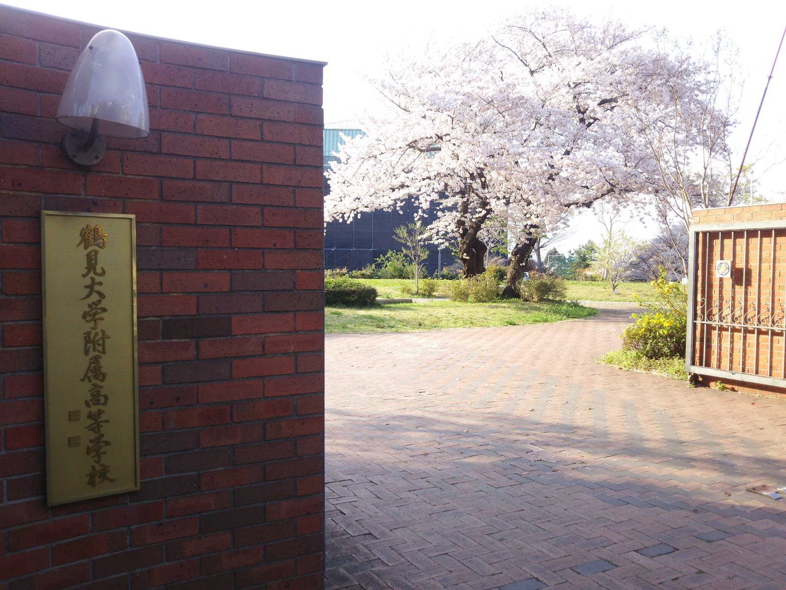 鶴見大学附属中学校の校内・教育環境