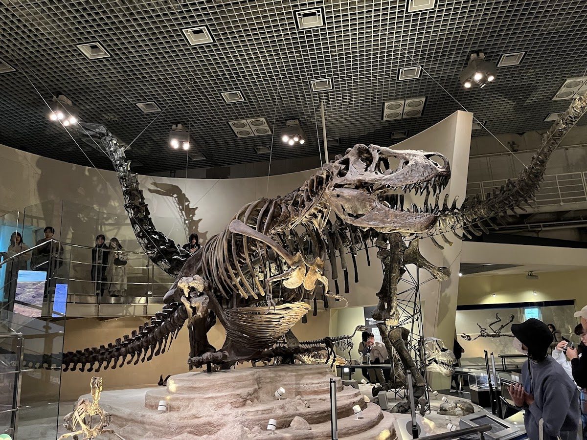 国立科学博物館 鉱物展示