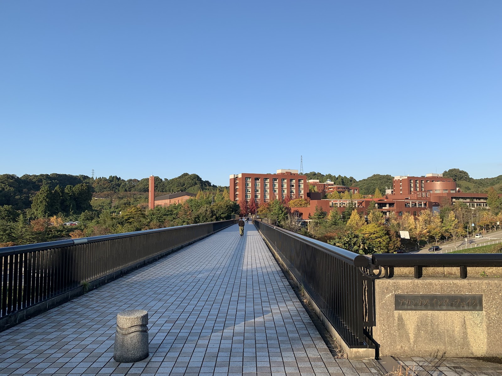 金沢大学