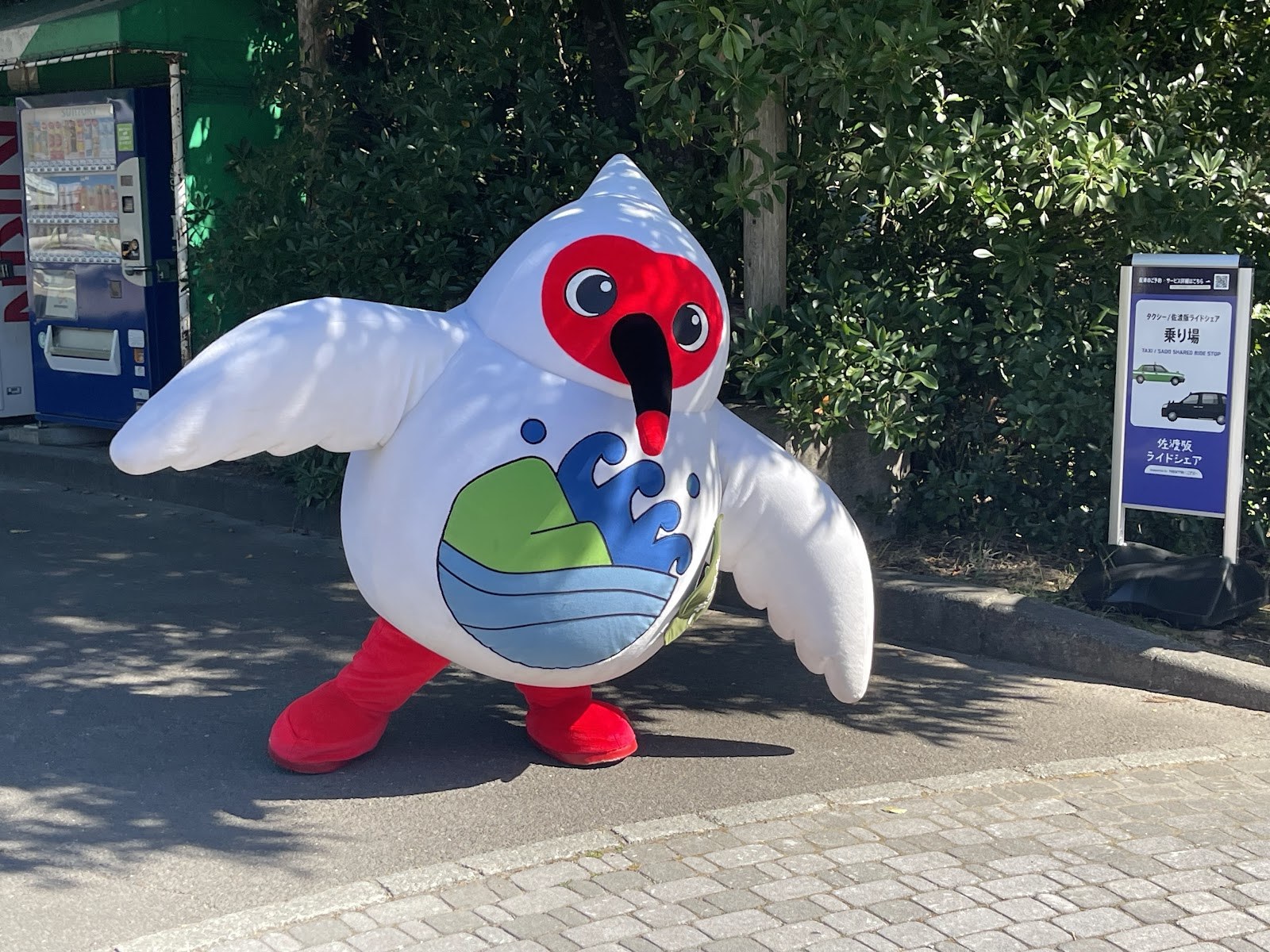 さど・トキの森こうえん の トキ（ほんしゅう で はなされた トキ と おなじ とり）