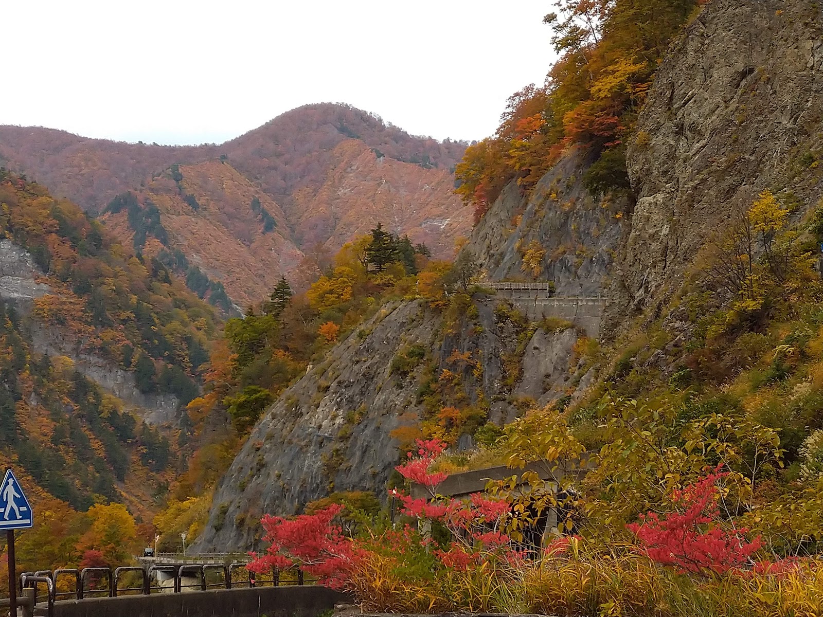 白山白川郷ホワイトロード