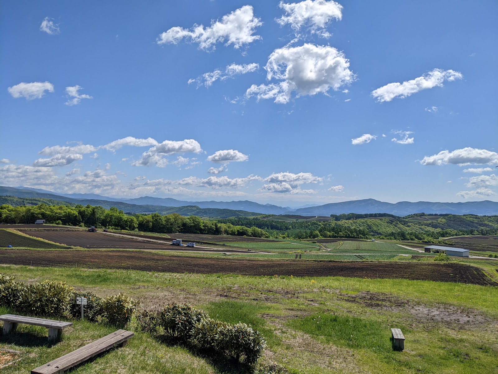 キャベツ畑が広がる群馬県嬬恋村の風景