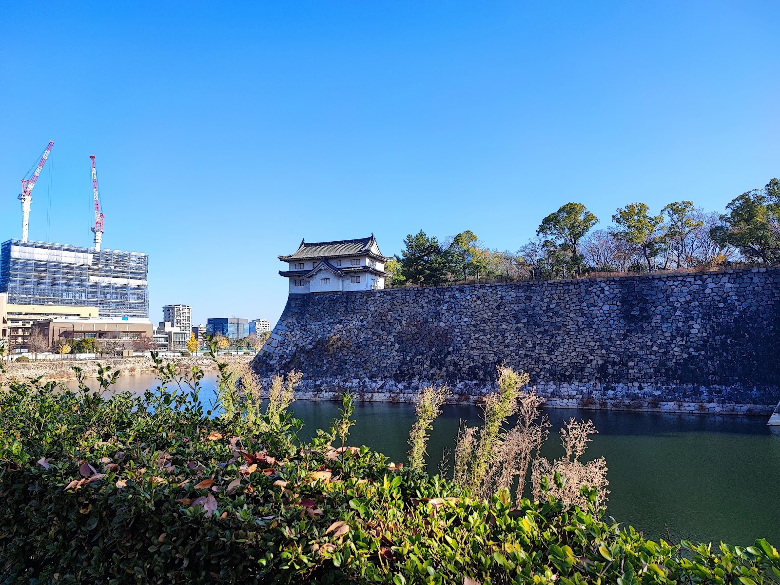 大阪府大阪市中央区の大阪城