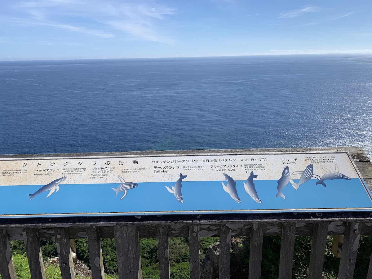 東京都小笠原村の海と島