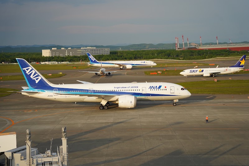 新千歳空港・千歳基地周辺ビューポイント 写真4