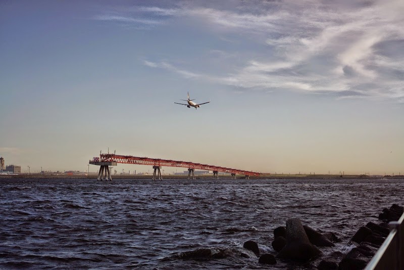 城南島海浜公園(羽田空港撮影スポット) 写真2