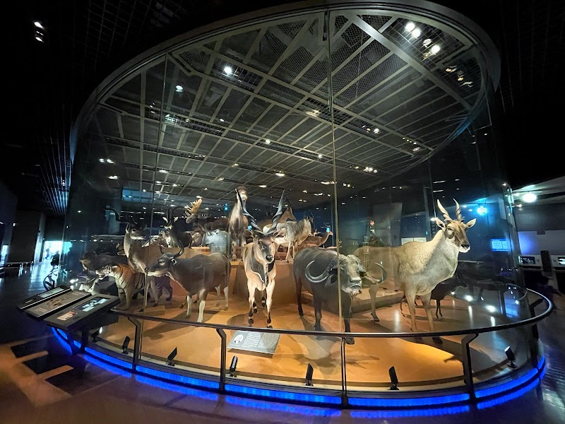 国立科学博物館(地球館・航空関連展示) 写真2