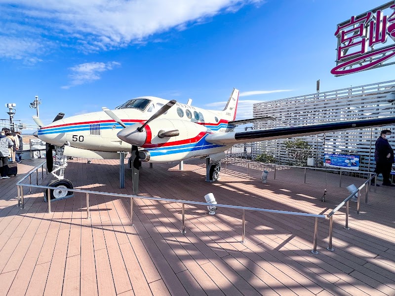 宮崎空港(宮崎ブーゲンビリア空港)展望デッキ 写真2