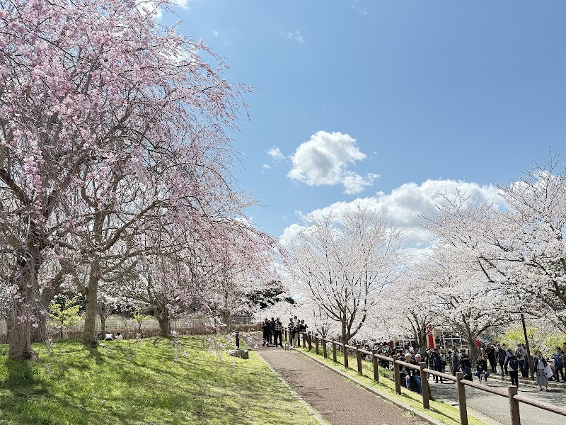 成田空港 さくらの山公園 写真1