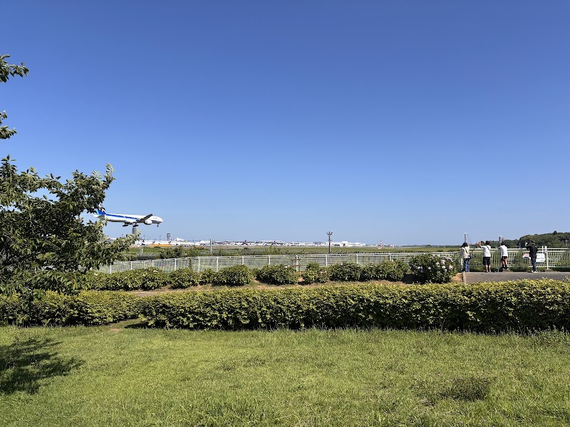 成田空港 さくらの山公園 写真3