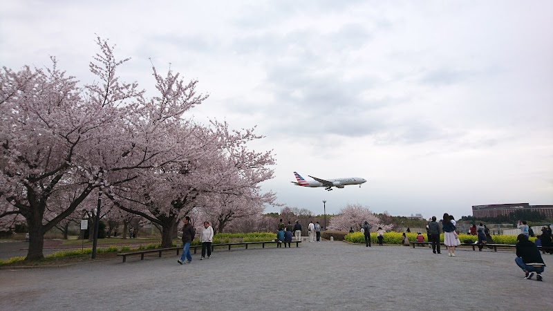 成田空港 さくらの山公園 写真4