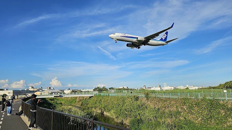 大阪国際空港(伊丹)千里川土手 写真1