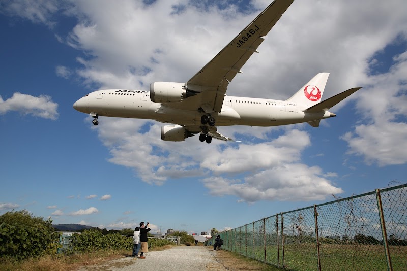 大阪国際空港(伊丹)千里川土手 写真3