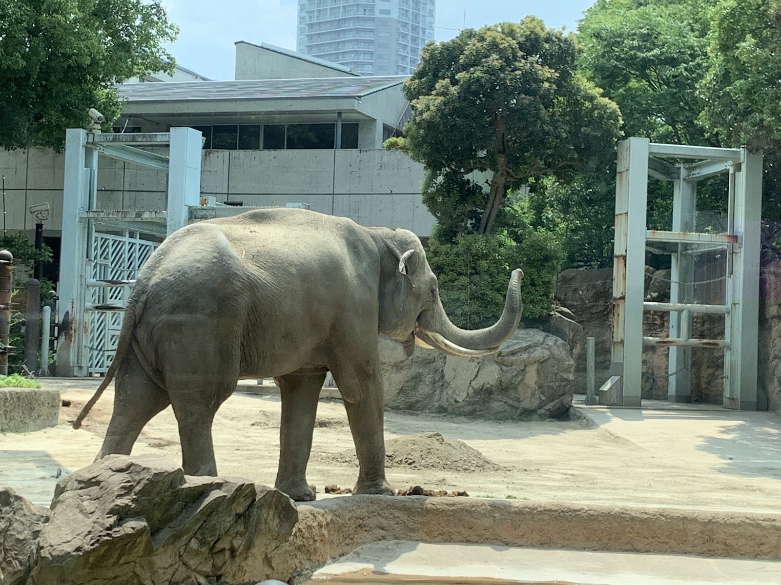 上野動物園 西園