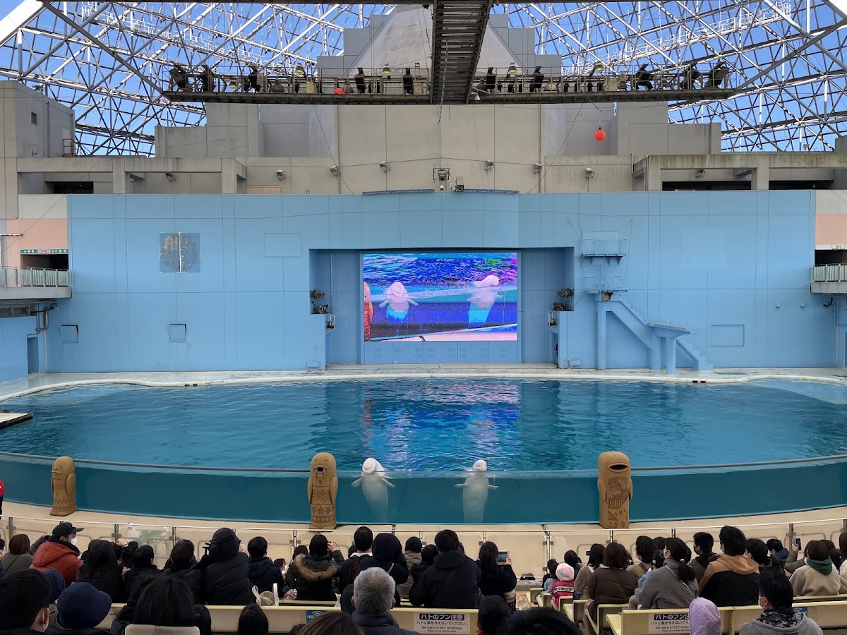 横浜・八景島シーパラダイス アクアミュージアム