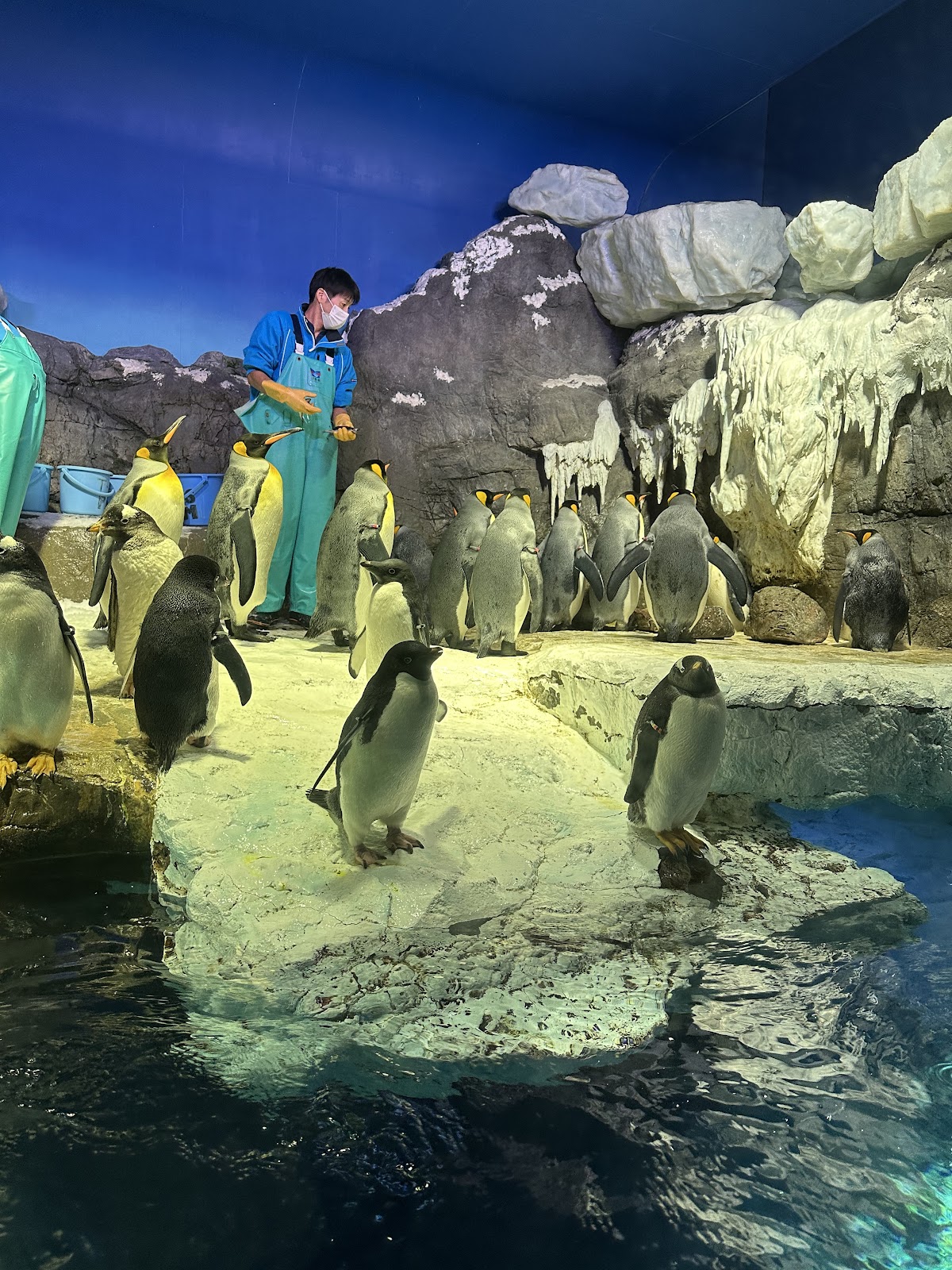 海遊館 天保山ハーバービレッジ